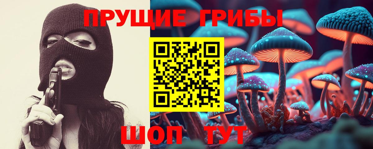 Псилоцибиновые грибы MAGIC MUSHROOMS  Вход с VPN  Фролово 